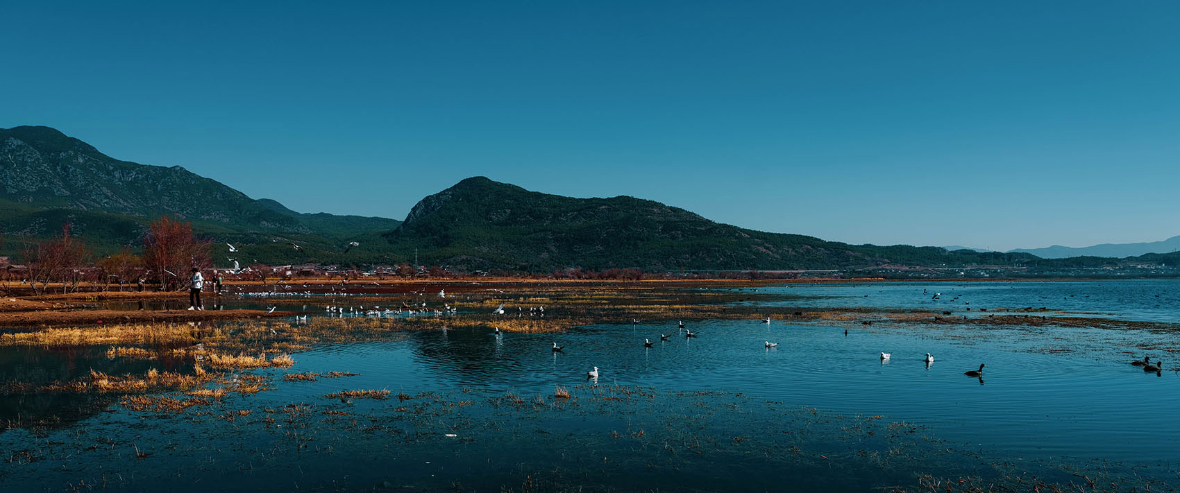云南麗江·茶馬道拉市海麗世山居酒店設(shè)計