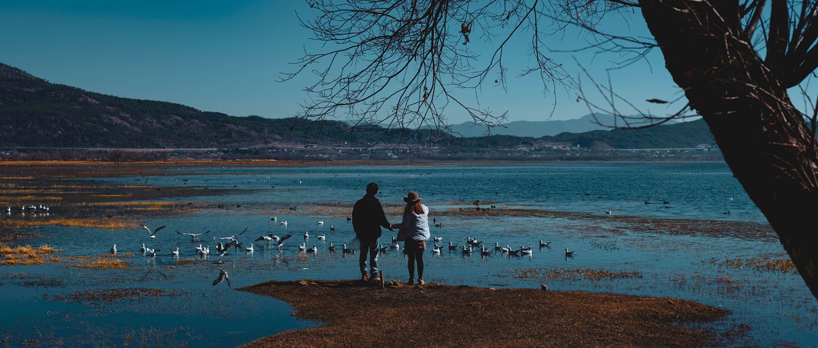 云南麗江·茶馬道拉市海麗世山居酒店設(shè)計